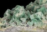 Fluorite & Galena Cluster - Rogerley Mine #60369-2